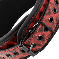 Thumbnail for Pinze capezzoli con collare regolabile e catena d'argento - Giochi bondage sensoriali