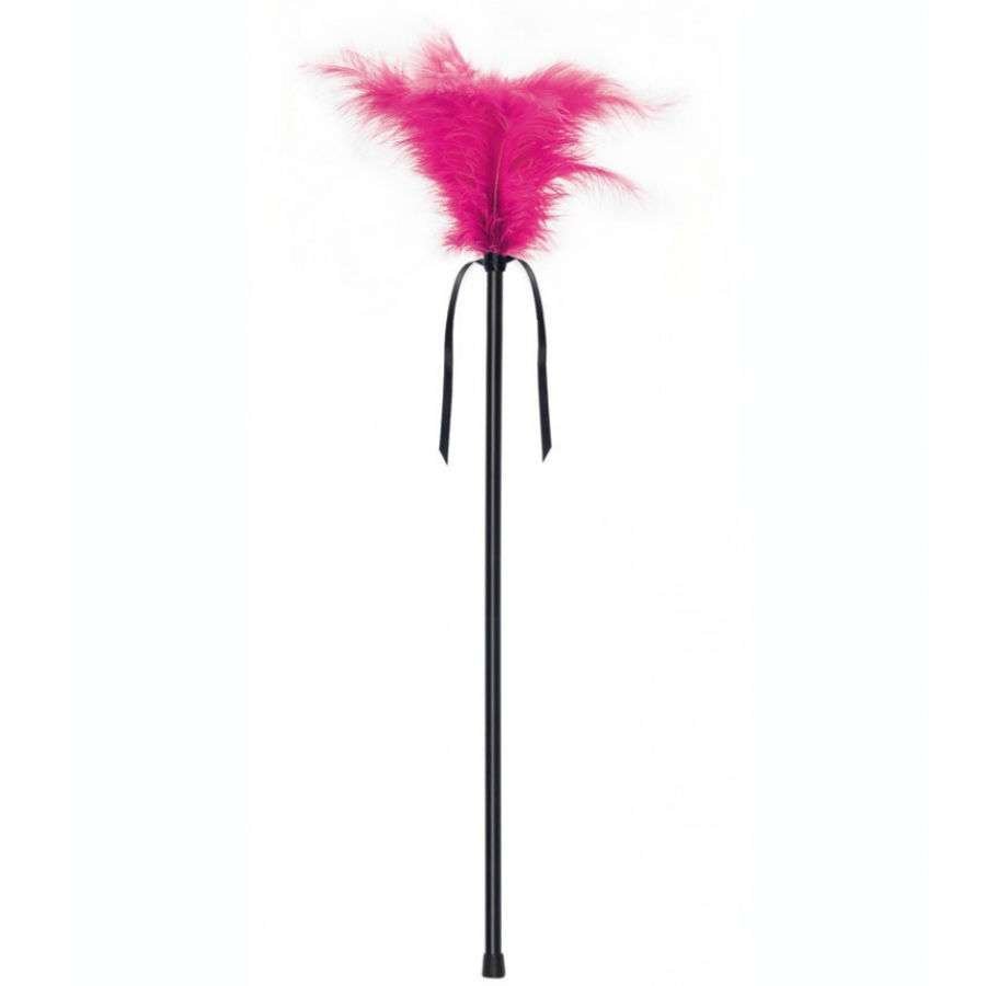 Pennacchio di carezze erotiche con piuma rosa, massaggio sensuale e controllo