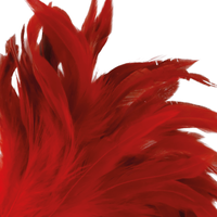 Thumbnail for Piume sensoriali erotiche rosse per giochi di coppia BDSM